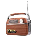 iBELL FM700BT Portable FM Radio with Bluetooth Speaker, USB, SD Slot, MP3 Player & Dynamic Speaker 3 Band (Brown)